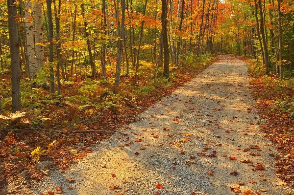 Canada-Ontario-Bruce Peninsula National Park Autumn on the Bruce Trail